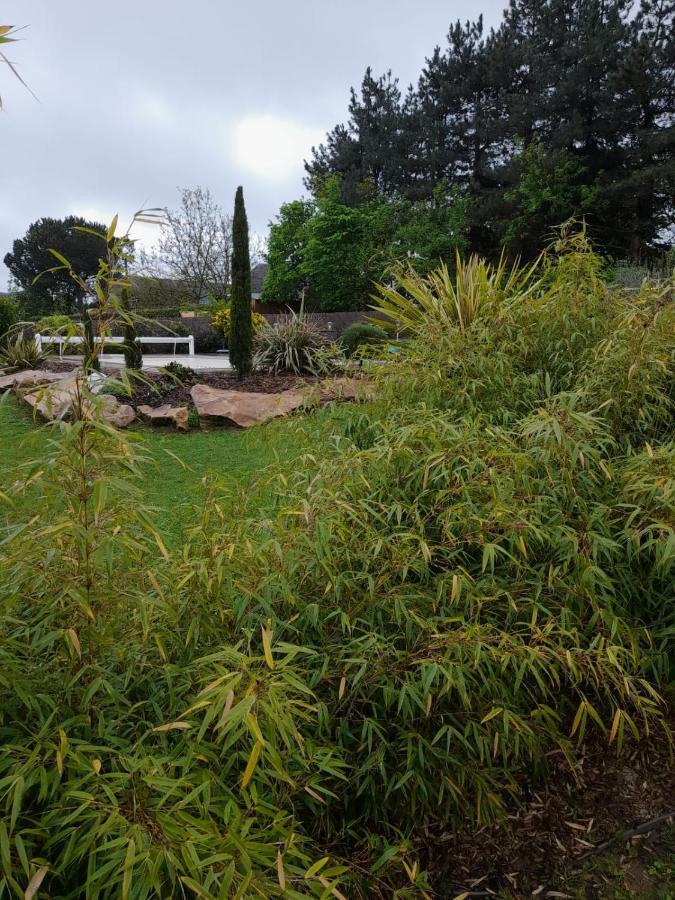 Chambre Dans Un Ecrin De Verdure Angrie Extérieur photo